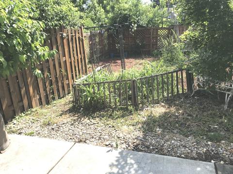 3413 Lewis St, Steger, IL 60475 photo 29