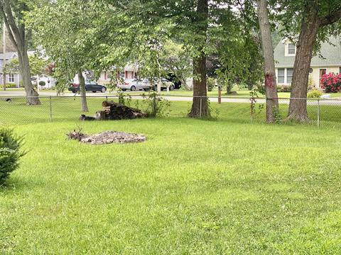 911 W Eureka St, Braidwood, IL 60408 photo 22