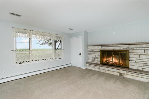 315 W Eagle Lake Rd, Beecher, IL 60401 photo 8