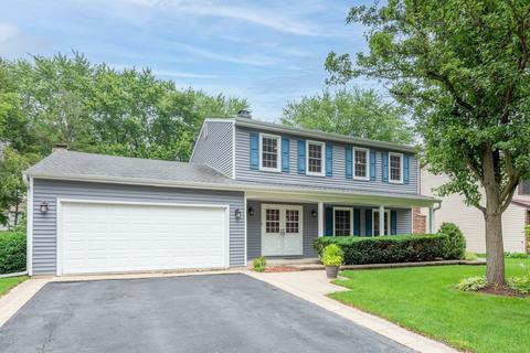 1810 Deerpath Ct, Naperville, IL 60565 photo 1
