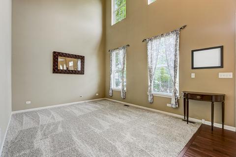 12700 Terrace Blvd, Plainfield, IL 60585 photo 5