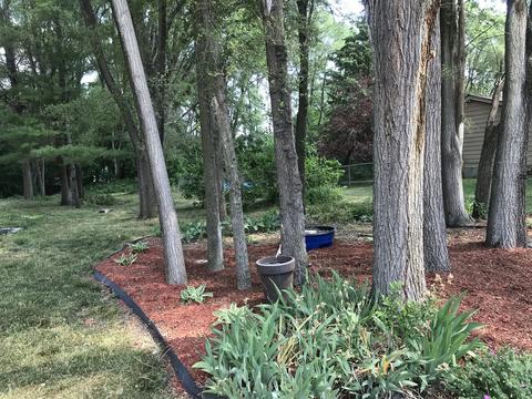 11262 Edgemere Ter, Roscoe, IL 61073 photo 22