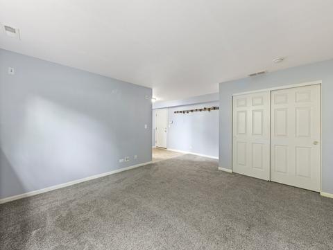 2475 Emily Ln, Elgin, IL 60124 photo 20