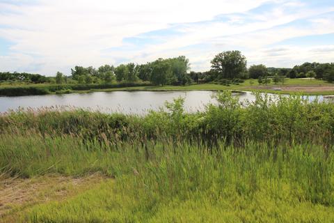8675 S Kankakee Rd, Gardner, IL 60424 photo 4