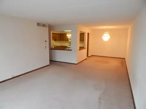 1600 E Thacker St #208, Des Plaines, IL 60016 photo 5