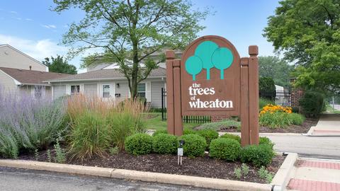 1546 Timber Trl, Wheaton, IL 60189 photo 1