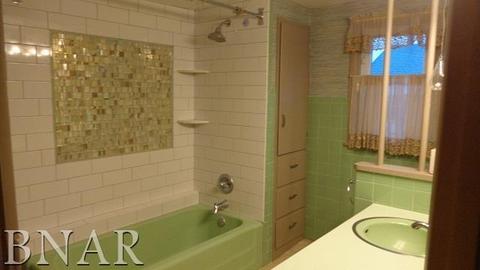 407 E Washington St, Le Roy, IL 61752 photo 24