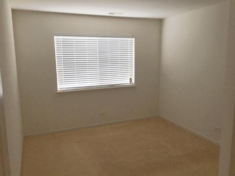 174 Durango Dr, Gilberts, IL 60136 photo 14