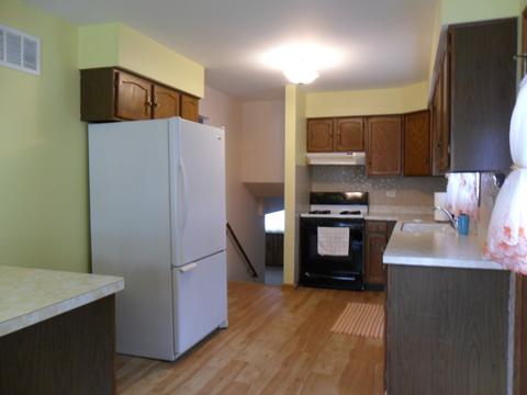 4231 Elm Ave, Lyons, IL 60534 photo 10