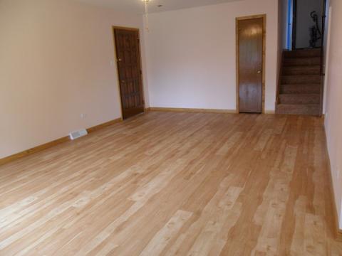 4231 Elm Ave, Lyons, IL 60534 photo 6