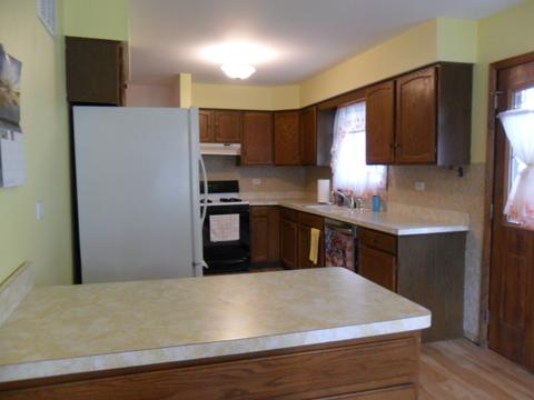 4231 Elm Ave, Lyons, IL 60534 photo 9