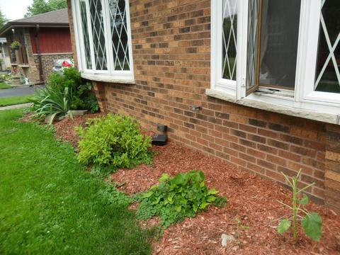 4231 Elm Ave, Lyons, IL 60534 photo 33
