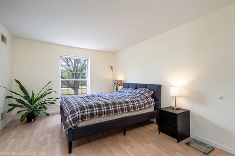 5100 Carriageway Dr #209, Rolling Meadows, IL 60008 photo 5