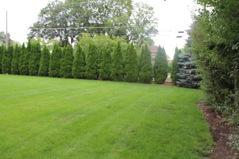 1207 Webster Ln, Des Plaines, IL 60018 photo 14