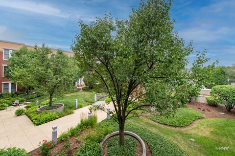 7243 Madison St #313, Forest Park, IL 60130 photo 22