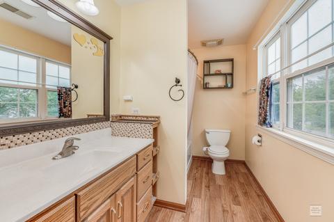 2908 Sun Valley Ct, Plainfield, IL 60586 photo 17