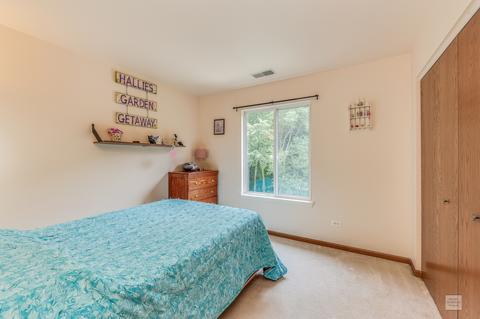 2908 Sun Valley Ct, Plainfield, IL 60586 photo 18