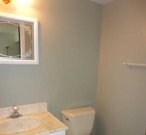 711 Circle Dr, Roselle, IL 60172 photo 24