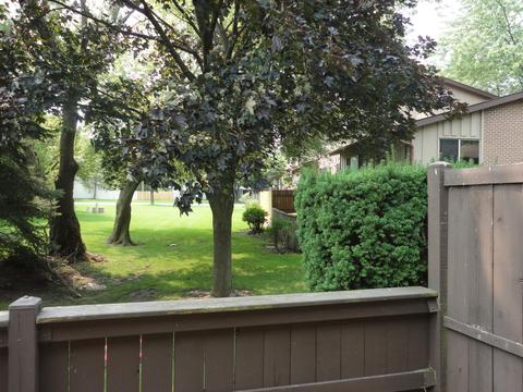711 Circle Dr, Roselle, IL 60172 photo 37