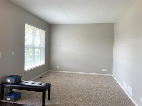 2075 Stapleton Rd, New Lenox, IL 60451 photo 26