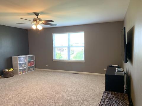 2075 Stapleton Rd, New Lenox, IL 60451 photo 19