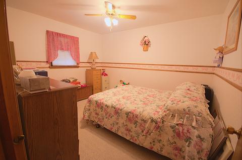 3015 Florence Ave, Steger, IL 60475 photo 7