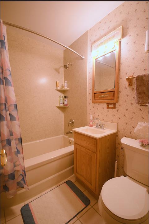 3015 Florence Ave, Steger, IL 60475 photo 10