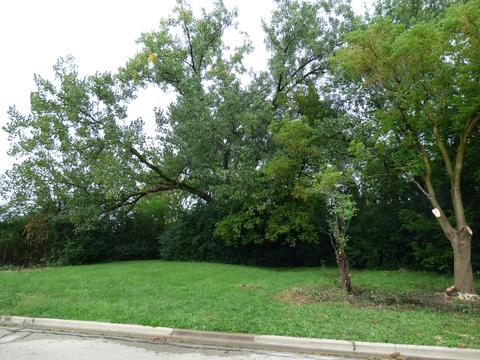 3020 16th Pl, North Chicago, IL 60064 photo 3