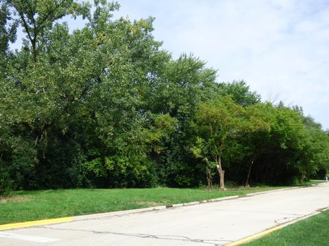 3020 16th Pl, North Chicago, IL 60064 photo 5