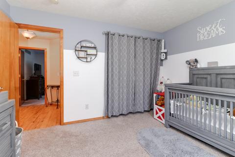 304 E Franklin St, Downs, IL 61736 photo 21