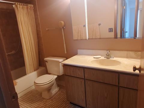 1441 E Thacker St #303, Des Plaines, IL 60016 photo 7