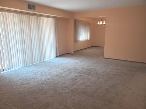 1441 E Thacker St #303, Des Plaines, IL 60016 photo 2