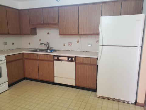 1441 E Thacker St #303, Des Plaines, IL 60016 photo 4