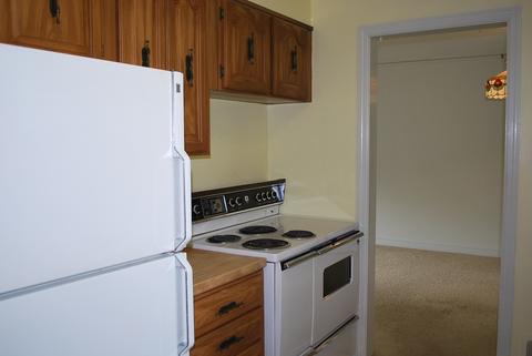 905 Gamon Rd, Wheaton, IL 60187 photo 4