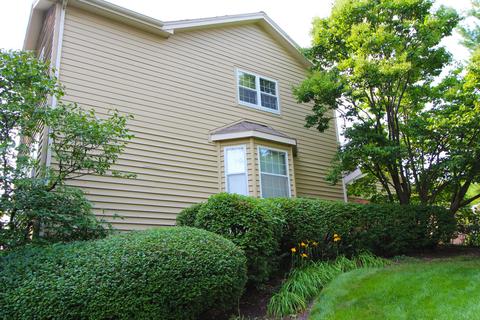 505 Shagbark Dr, Elgin, IL 60123 photo 7