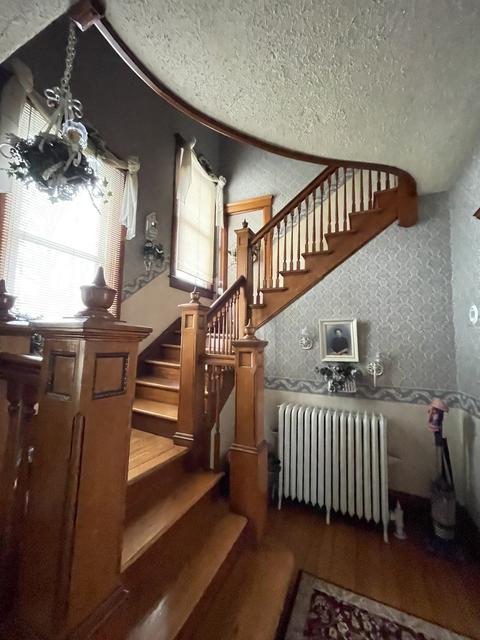 329 Erie St, Spring Valley, IL 61362 photo 17