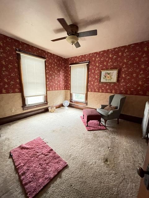 329 Erie St, Spring Valley, IL 61362 photo 21