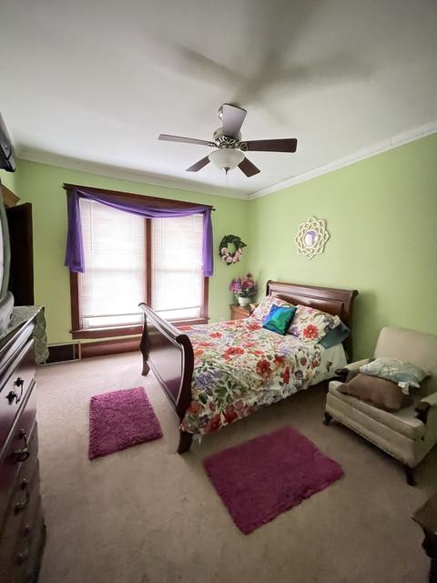 329 Erie St, Spring Valley, IL 61362 photo 19