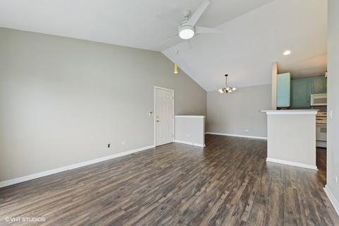 660 Mill Cir #305, Wheeling, IL 60090 photo 3