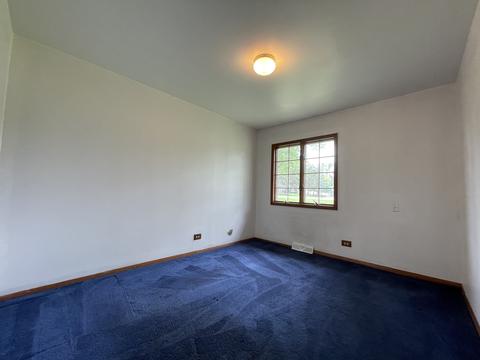 975 Valewood Rd, Bartlett, IL 60103 photo 9