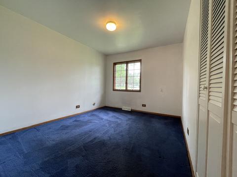975 Valewood Rd, Bartlett, IL 60103 photo 10