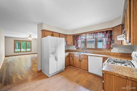 466 E Lorraine Ave, Addison, IL 60101 photo 17