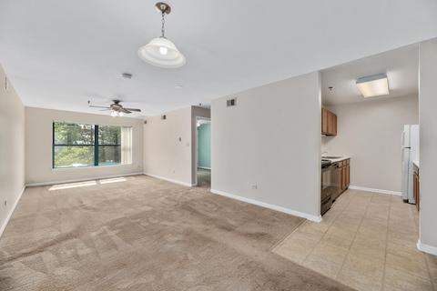 3265 Kirchoff Rd #215, Rolling Meadows, IL 60008 photo 4