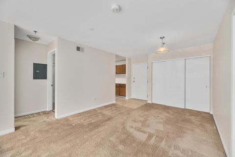 3265 Kirchoff Rd #215, Rolling Meadows, IL 60008 photo 5