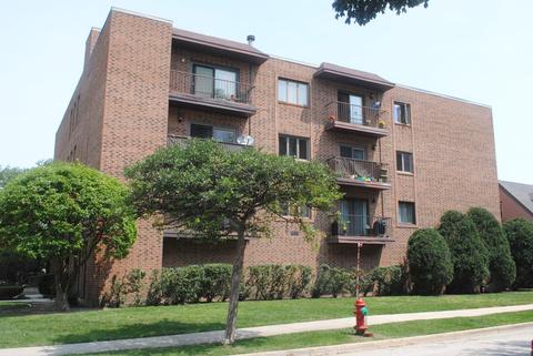 1302 E Washington St #A3, Des Plaines, IL 60016 photo 1