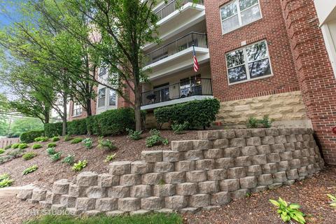 3135 Town Square Dr #101, Rolling Meadows, IL 60008 photo 2