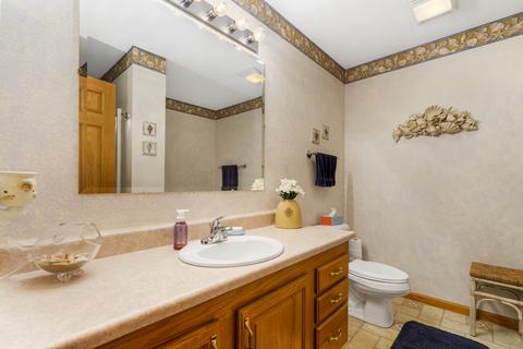 712 W 3rd St, Braidwood, IL 60408 photo 21