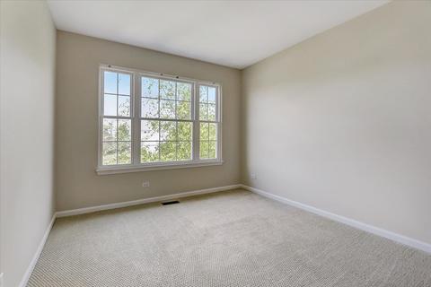 341 Diamond Back Way, Algonquin, IL 60102 photo 11