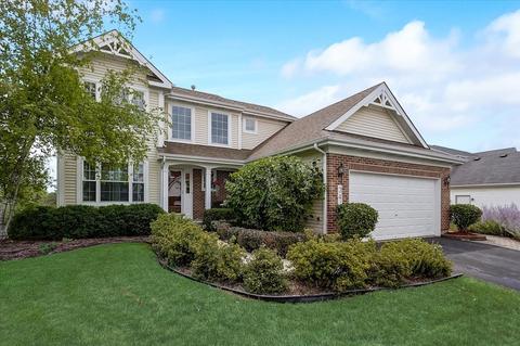341 Diamond Back Way, Algonquin, IL 60102 photo 42