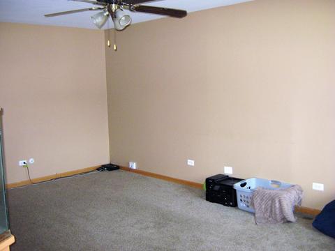 3130 Sangamon St, Steger, IL 60475 photo 8